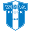 Wisla Plock logo