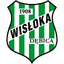 Віслока Дембіца logo