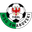 Home team logo