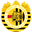 Home team logo