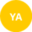 Ynyshir Albions logo