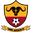 Home team logo