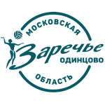 home team logo