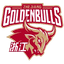 Zhejiang Golden Bulls