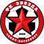 Zvezda St. Petersburg logo