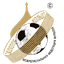 Championship MFF Gold Ring