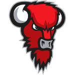 Bisons Loimaa