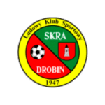 Skra Drobin
