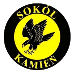 Sokół Kamień