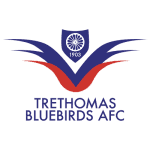 Trethomas Bluebirds