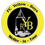 Yellow Boys Weiler-L-T