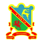 Ynysygerwyn FC