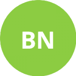 Basic N. logo