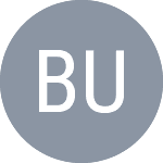 Булдоріні П. logo