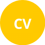 Chaudhari V / Desai Z logo