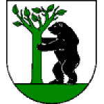 Partizán Precin