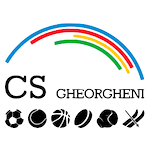 CS Gheorgheni - VSK Gheorgheni logo