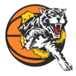 Willetton Tigers