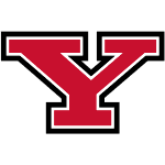 Youngstown State Penguins logo